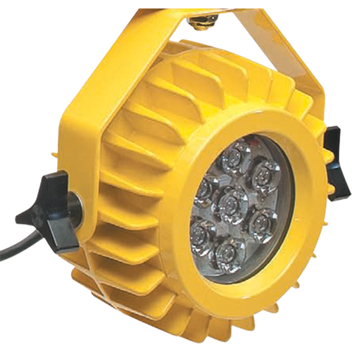 Lampe robuste DEL pour les quais - t&ecirc;te seulement Action Paper