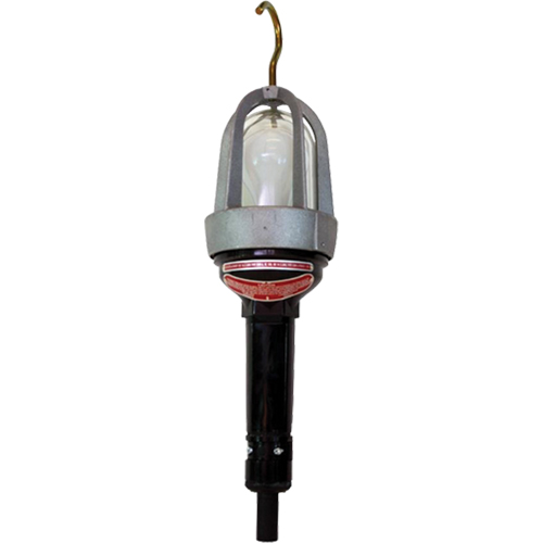 Hazardous Location Handlamp, LED, 20 W, 2400 Lumens Action Paper
