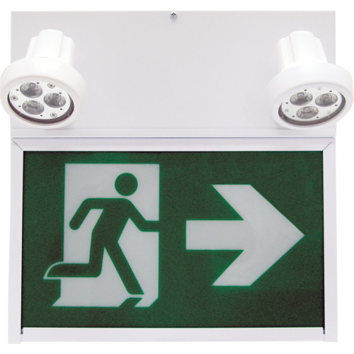 Running Man Exit Sign, LED, Battery Operated/Hardwired, 12" L x 12 1/2" W, Pictogram Action Paper