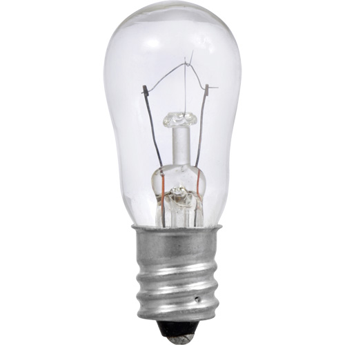 S6 Incandescent Bulb Action Paper