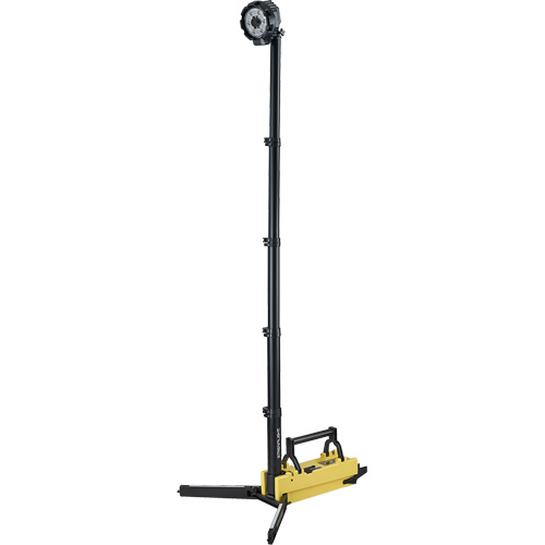 Portable Extendable Scene Light, LED, 5300 Lumens, Plastic Housing Action Paper