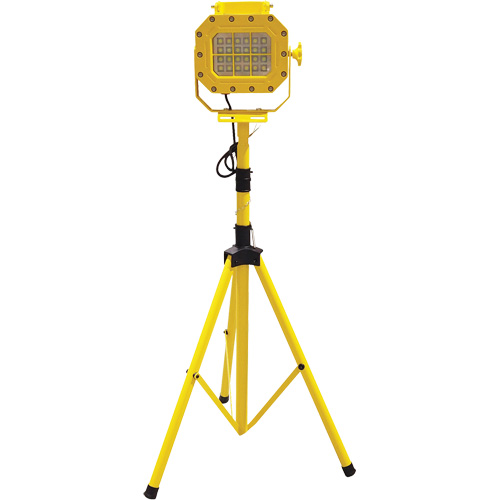 Explosion Proof Floodlight with Tripod, LED, 40 W, 5600 Lumens, Aluminum Housing Action Paper