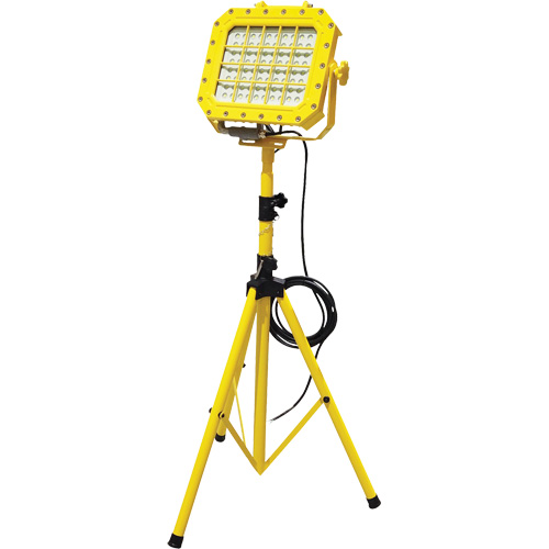 Explosion Proof Floodlight with Tripod, LED, 40 W, 5600 Lumens, Aluminum Housing Action Paper