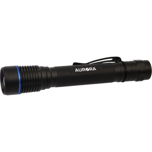 IPX7 Flashlight, LED, 250 Lumens, AA Batteries Action Paper