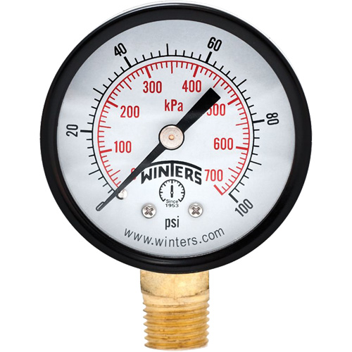 Economy Pressure Gauge, 2" , 0 - 100 psi, Bottom Mount, Analogue Action Paper