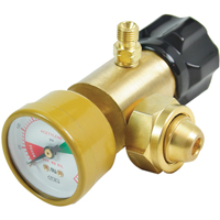 CGA200 Regulator Action Paper