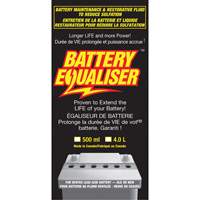 Battery Equalizers AA893 | Action Paper