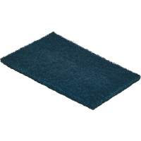 Detex<sup>®</sup> Metal Detectable Scouring Pad, 8-9/10" L x 5-9/10" W AH213 | Action Paper