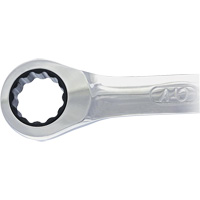 Non-Reversing Ratcheting Combination Wrench Action Paper
