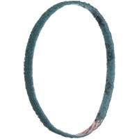 Courroies de traitement des surfaces Scotch-Brite Action Paper