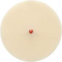 Disque Scotch-Brite 7502 pour retrait de colle et de bandes de moulage, 6" dia. Action Paper