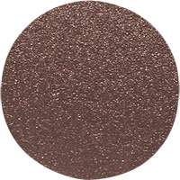 Wood Sanding Disc, 12" Dia., 60 Grit Action Paper