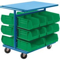 Bin Cart with Bins, Double-sided, 20 bins, 24" W x 38-1/2" D x 36-1/2" H Action Paper