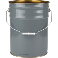 Lined Pail, Steel, 20 L Action Paper