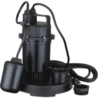 Thermoplastic Submersible Sump Pump, 2560 GPH, 115 V, 4.6 A, 1/3 HP Action Paper