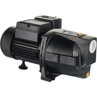 Dual Voltage Cast Iron Shallow Well Jet Pump, 115 V/230 V, 1100 GPH, 1 HP DC853 | Action Paper