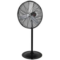 Oscillating Pedestal Fan, Heavy-Duty, 3 Speed, 30" Diameter Action Paper