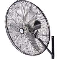 Outdoor Oscillating Wall Fan, Industrial, 30" Dia., 3 Speeds EB115 | Action Paper