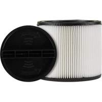 Vacuum Filter, Cartridge, Fits 5 US gal. Action Paper