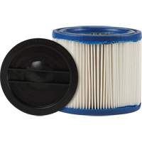 CleanStream&reg; Gore&reg; Small Wet/Dry Vacuum Filter, Cartridge/Hepa, Fits 1 - 6 US gal. Action Paper