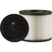 Small Vacuum Filter, Cartridge, Fits 1 - 6 US gal. Action Paper