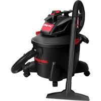 Cordless Wet/Dry Vacuum, 20 V, 6 gal. Capacity Action Paper