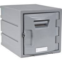 Locker, 12" x 15" x 12", Grey, Assembled FH725 | Action Paper