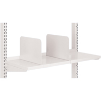 Arlink Workstation - Steel Shelve Dividers Action Paper