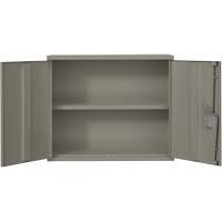 Wall Mounted Cabinet, Steel, 2 Shelves, 30" H x 36" W x 12" D, Grey Action Paper
