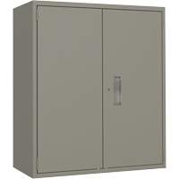 Lo-Boy Storage Cabinet, Steel, 2 Shelves, 40" H x 36" W x 18" D, Grey Action Paper
