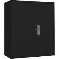 Lo-Boy Storage Cabinet, Steel, 2 Shelves, 42" H x 36" W x 18" D, Black Action Paper