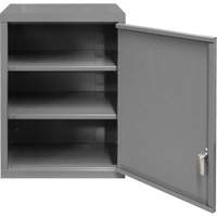 Armoire murale, 27" h x 13-11/16" la x 18" p, 2 tablettes, Acier, Gris Action Paper