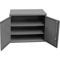 Armoire murale, 27" h x 13-11/16" la x 35-7/8" p, 2 tablettes, Acier, Gris Action Paper