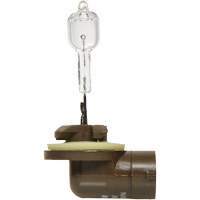 886 Basic Fog Light Bulb, Halogen, 50 W, Off White Action Paper