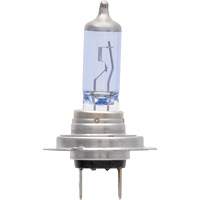 H7 SilverStar&reg; zXe Headlight Bulb, Halogen/HID, 56 W, White Action Paper