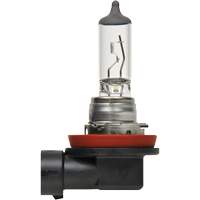 H8 Basic Headlight Bulb, Halogen, 35 W, Off White Action Paper