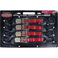 Tendeurs d'arrimage à cliquet  