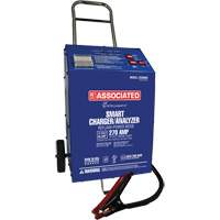 Chargeur 12 V 60 A &agrave; roues Intellamatic Action Paper