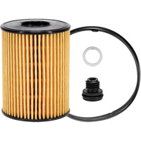 P40164 Lube Oil Filter Element Action Paper