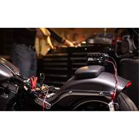 Genius&reg; 10 10-Amp Battery Charger Action Paper