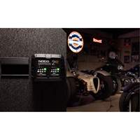 Genius&reg; 2X2 2-Bank, 4-Amp Battery Charger Action Paper