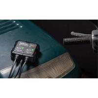 Genius&reg; 2X2 2-Bank, 4-Amp Battery Charger Action Paper