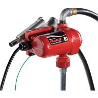 Pompe de transfert de carburant 12 V CC avec pistolet Action Paper