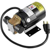 Low Profile Truck Drain with Electric Pump Action Paper