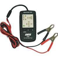 Relay Buddy&reg; Diagnostic Tester Action Paper