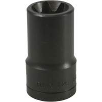 E-20 Torx&reg; Socket Action Paper