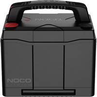 Group 24 90Ah Lithium Dual-Purpose Battery Action Paper