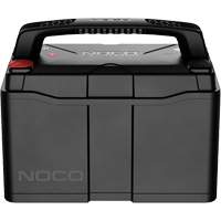 Group 31 120Ah Lithium-Ion LiFePO4 Dual-Purpose Battery Action Paper