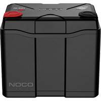 Group U1 40Ah Lithium Dual-Purpose Battery Action Paper