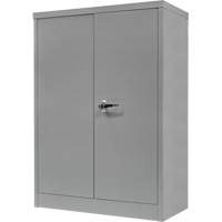 Counter-High Storage Cabinet, Steel, 2 Shelves, 42" H x 48" W x 24" D, Grey Action Paper